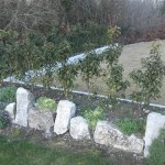 Rockery Stones - Image 1